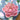 Pink Water Lily Incense Stick Holder