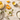 Aurum Ingredients