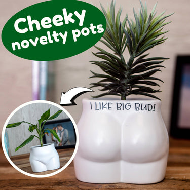 Put Some Plants On - I Like Big Buds - Homeware Gift for Her