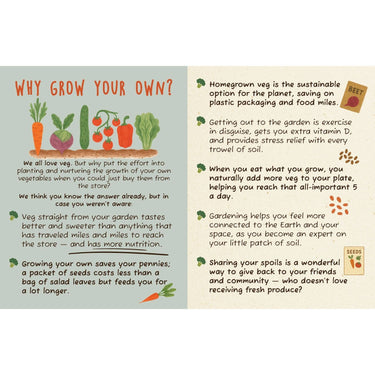 The Dirt on Veg Gardening Book – Beginner’s Veg Garden Guide