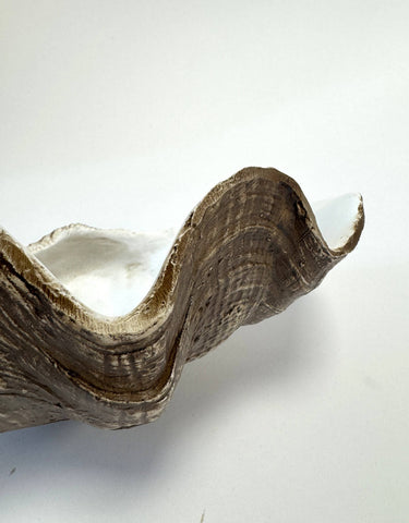 Small Clam Shell Jewellery / Storage Bowl