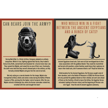 Curious Man Thoughts - Funny Gift Book - Novelty Men's Gift