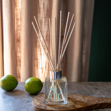 Believe Diffuser 100ml
