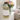 Bottle of SOUL Rose Noir Diffuser Refill Oil on a table with flowers in the background